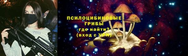PSILOCYBIN Алексин