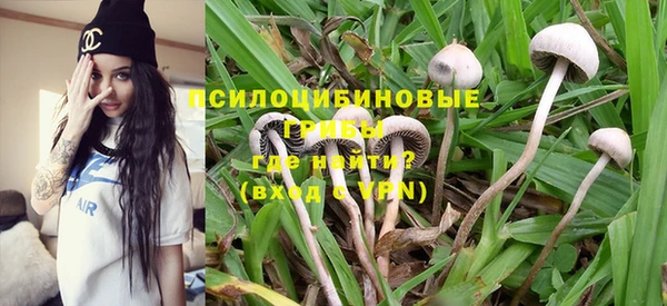 PSILOCYBIN Алексин