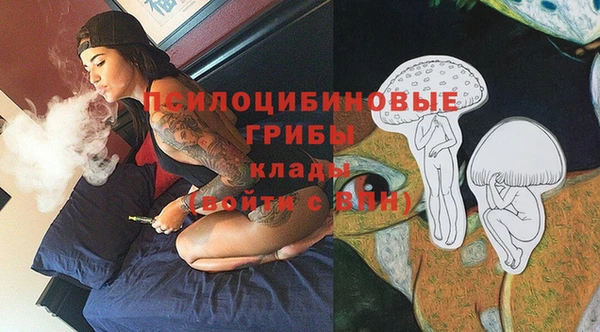 PSILOCYBIN Алексин