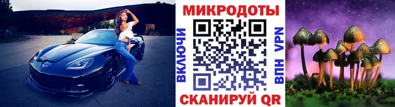 дарк нет наркотические препараты Боготол Галлюциногенные грибы мухоморы